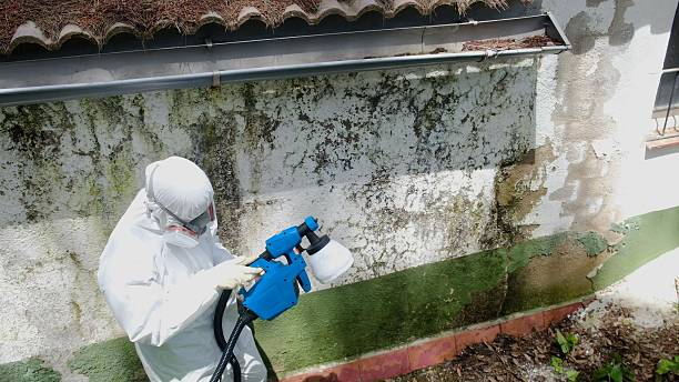 Trusted Commercial Mold Remediation service in Olanta, PA - Cheap Mold Removal